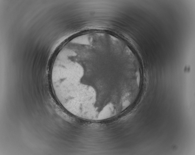 X0000110700779200907101220