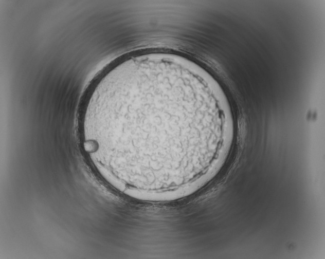X0000110700780200907101220