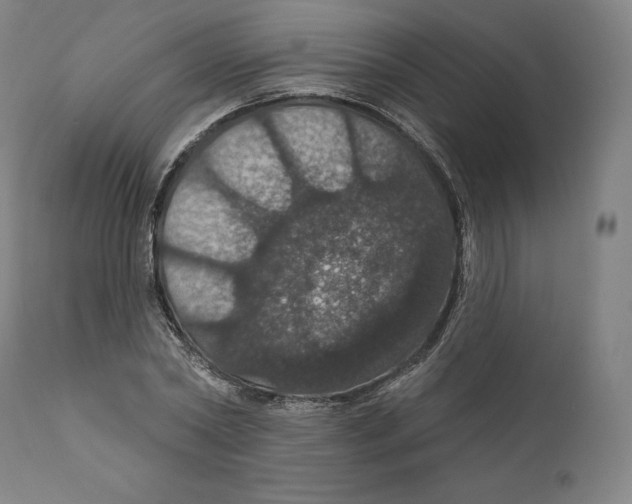X0000110700782200907101220