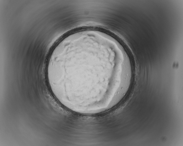 X0000110700783200907101220
