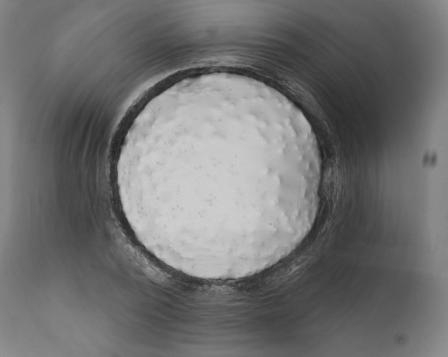 X0000110700784200907101220