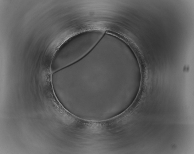 X0000110700785200907101220