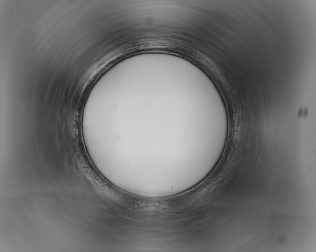 X0000110700786200907101220