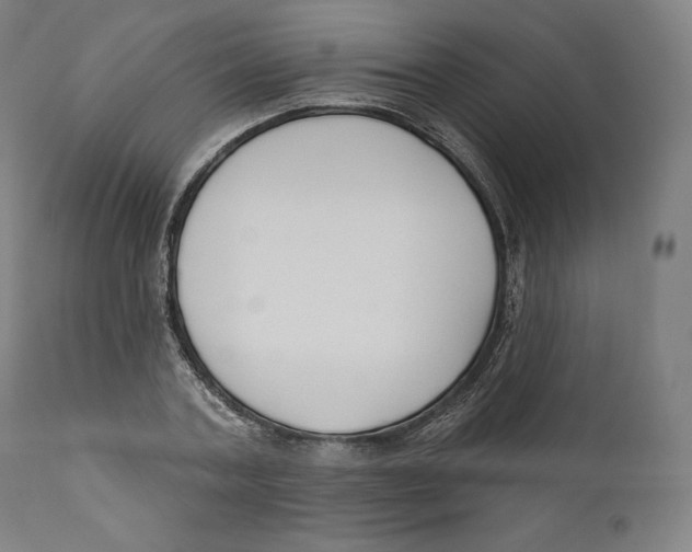 X0000110700787200907101220