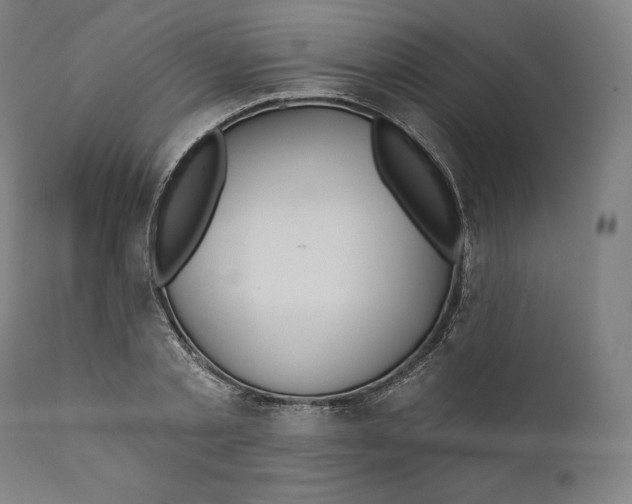 X0000110700789200907101220
