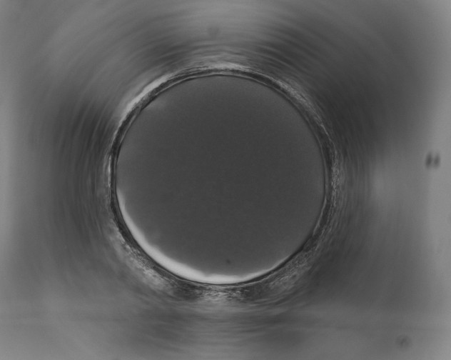 X0000110700790200907101220