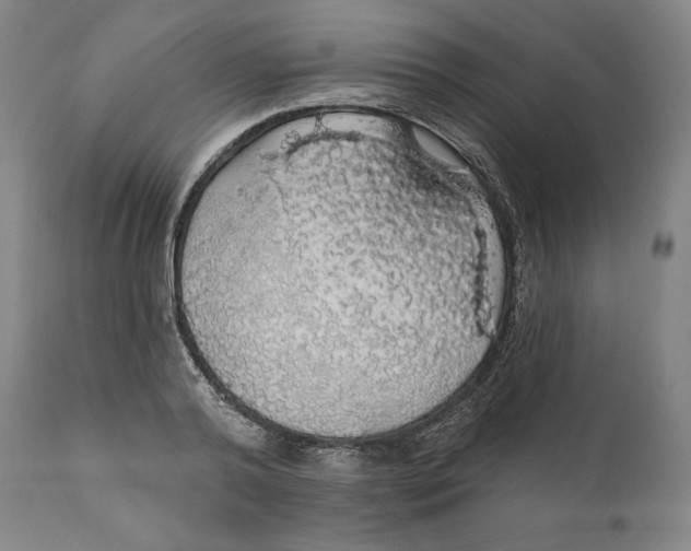 X0000110700792200907101220