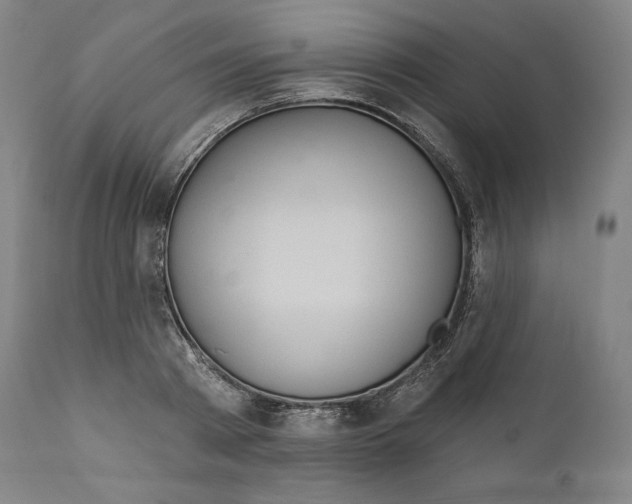 X0000110700793200907101220
