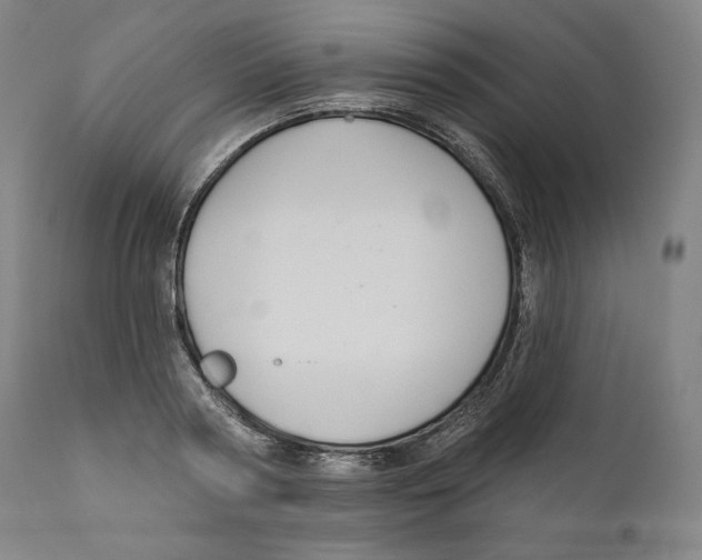 X0000110700794200907101220