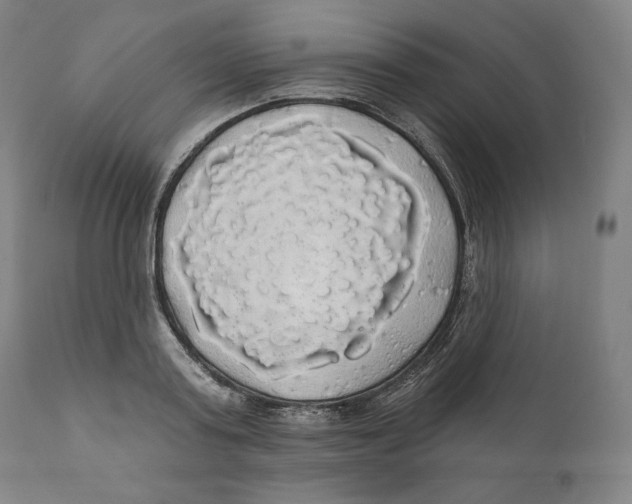 X0000110700795200907101220