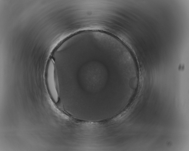 X0000110700797200907101220