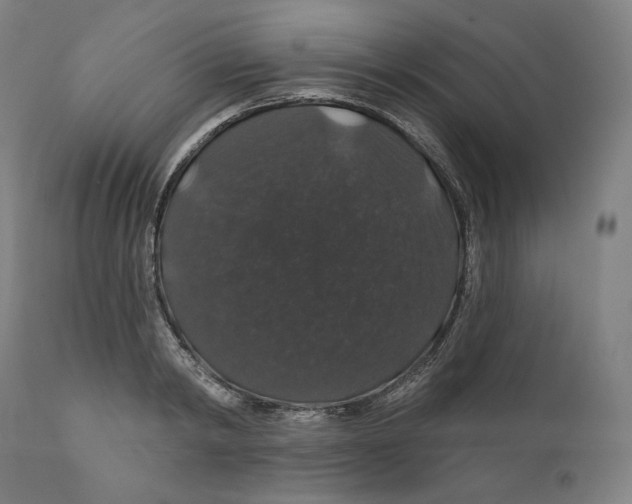 X0000110700798200907101220