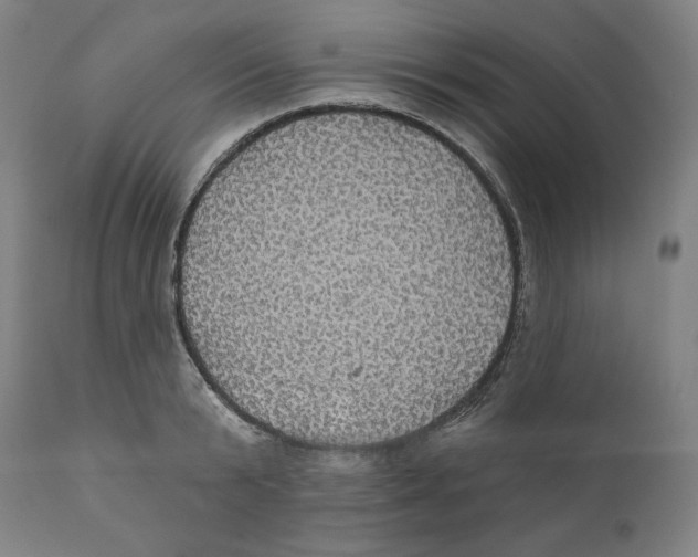 X0000110700799200907101220