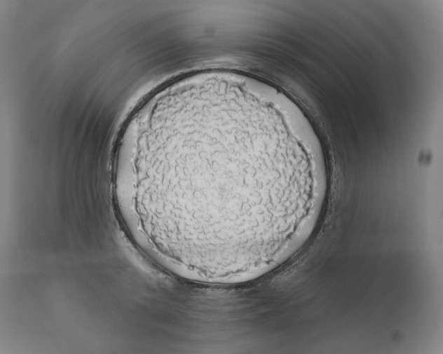 X0000110700800200907101220