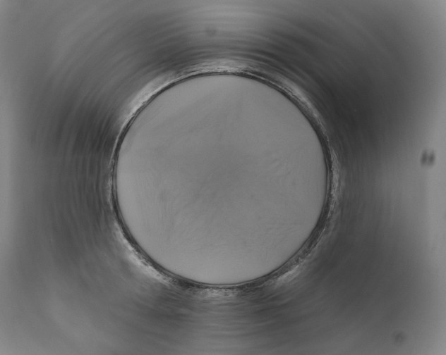 X0000110700802200907101220
