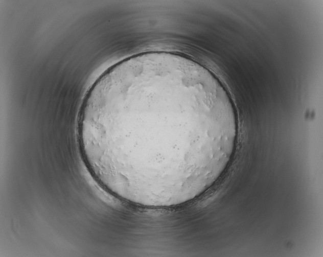 X0000110700803200907101220