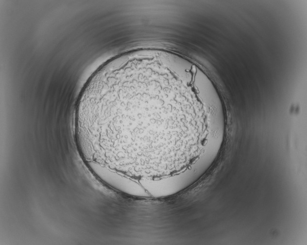 X0000110700804200907101220