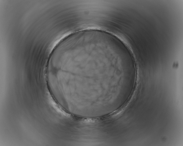 X0000110700806200907101220