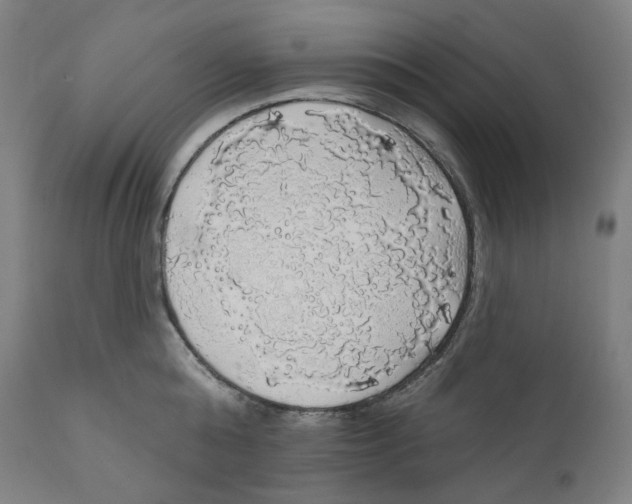 X0000110700808200907101220
