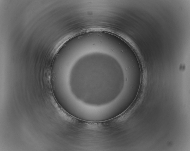 X0000110700809200907101220