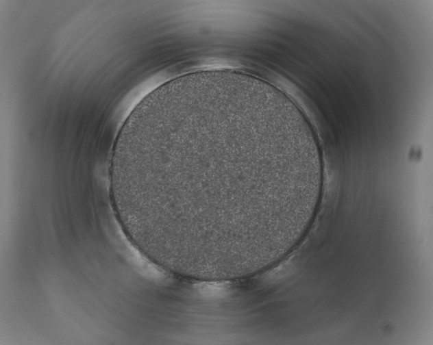 X0000110700810200907101220