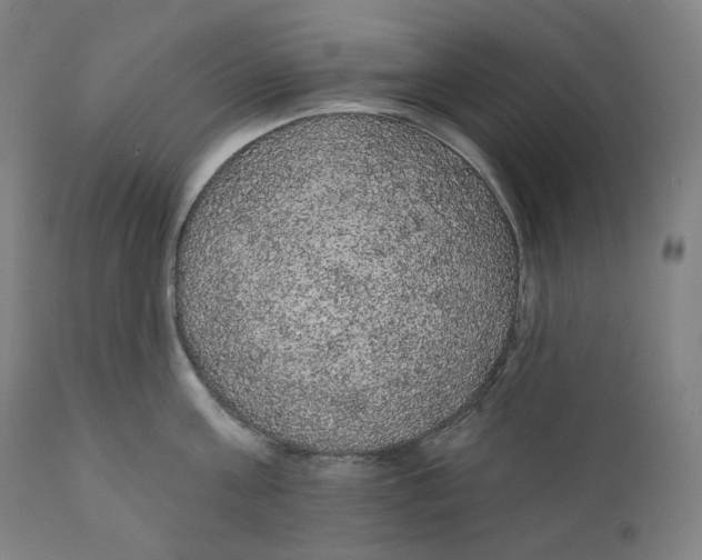 X0000110700811200907101220
