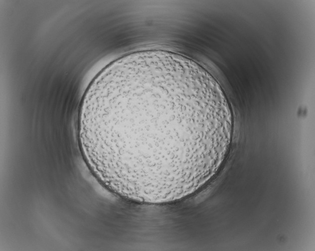 X0000110700812200907101220