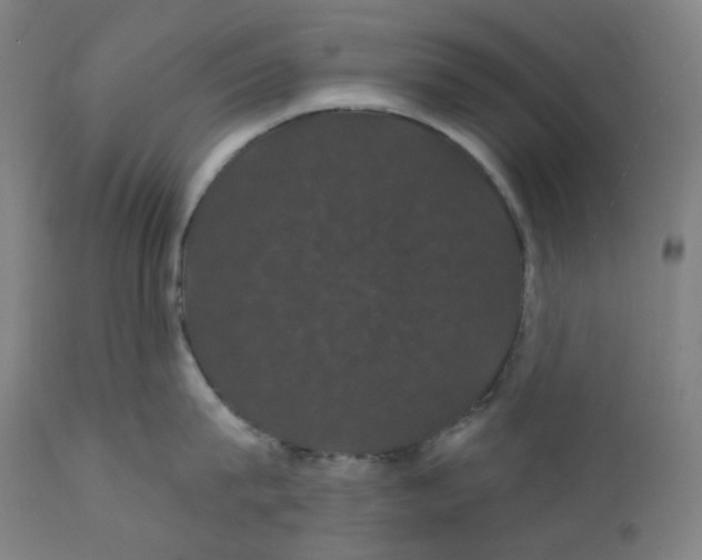 X0000110700815200907101219