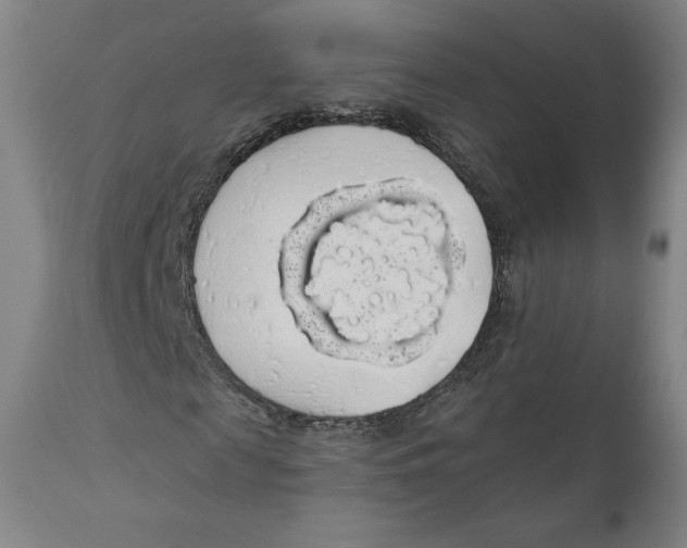 X0000110700817200907101219