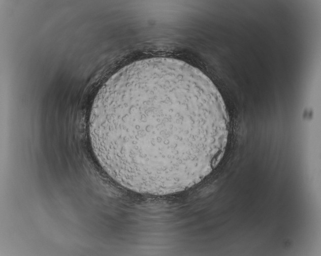 X0000110700818200907101219