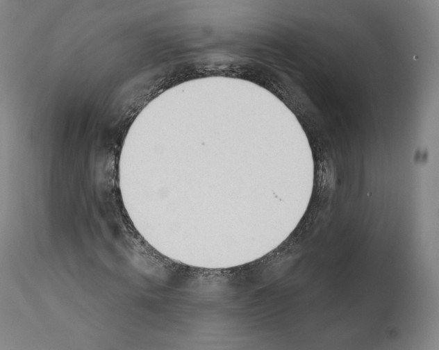 X0000110700820200907101219