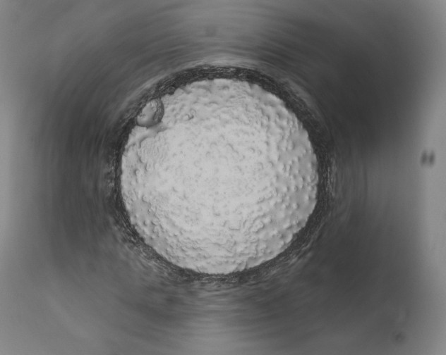 X0000110700821200907101219