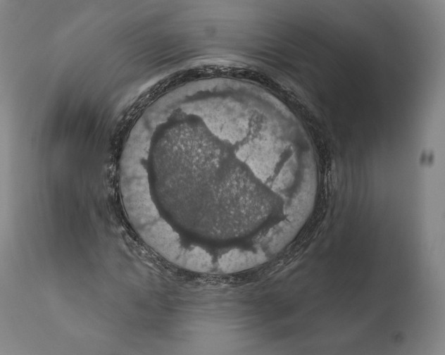 X0000110700822200907101219