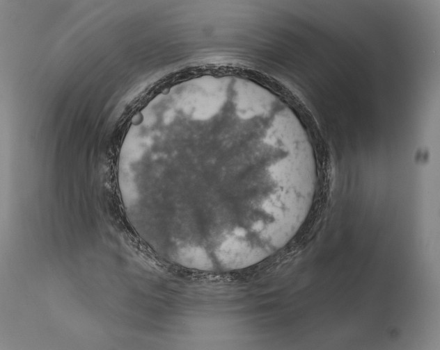 X0000110700823200907101219