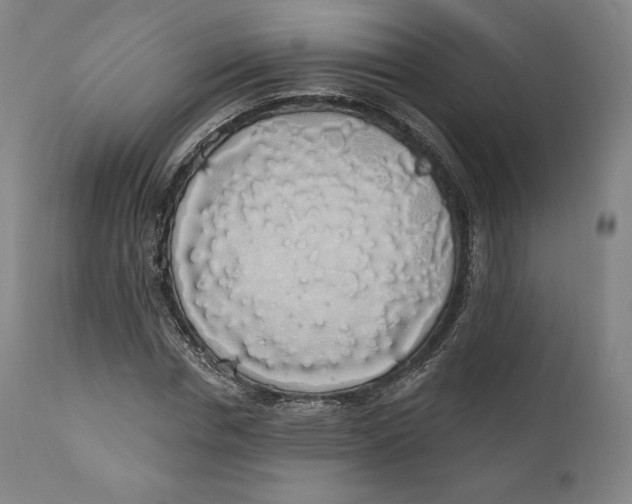 X0000110700826200907101219