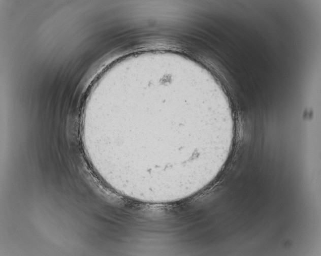 X0000110700828200907101219