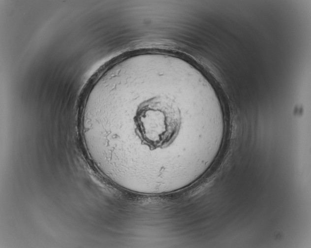 X0000110700830200907101219