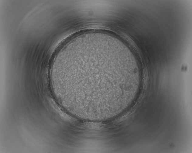 X0000110700831200907101219