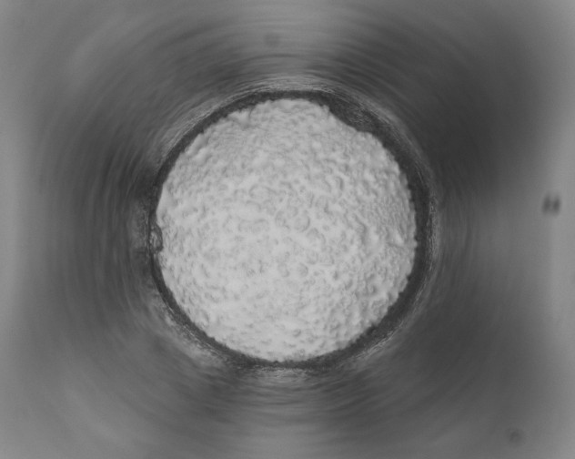 X0000110700833200907101219