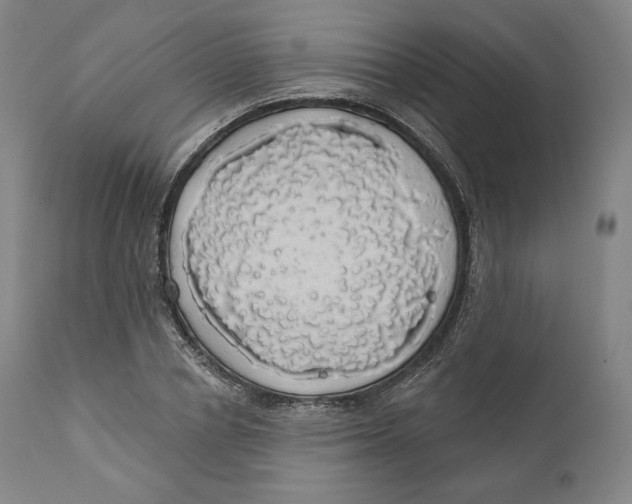 X0000110700834200907101219