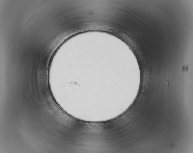 X0000110700836200907101219