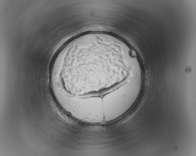 X0000110700837200907101219