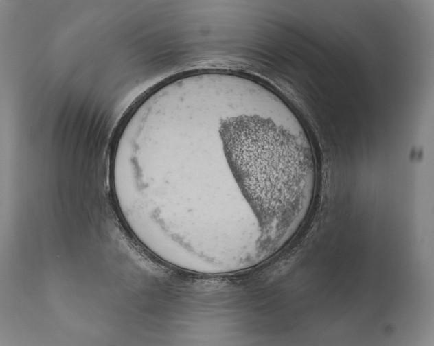 X0000110700838200907101219