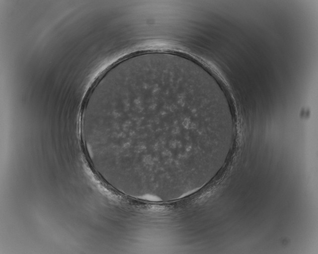 X0000110700839200907101219