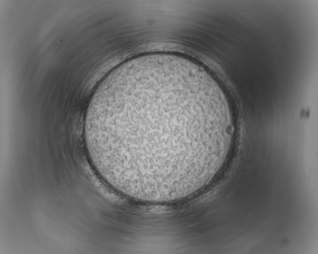 X0000110700841200907101219