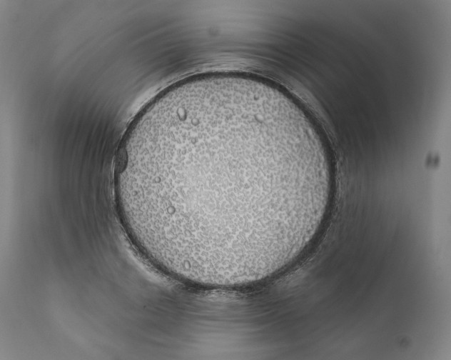 X0000110700842200907101219