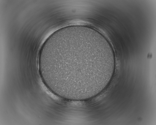 X0000110700843200907101219