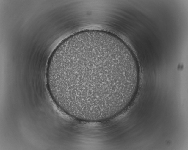 X0000110700845200907101219