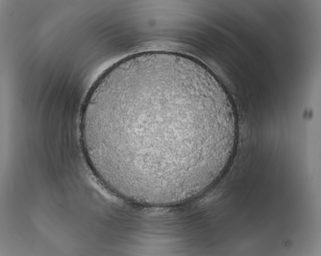 X0000110700846200907101219