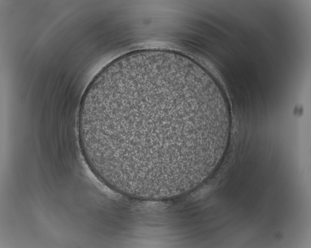 X0000110700847200907101219